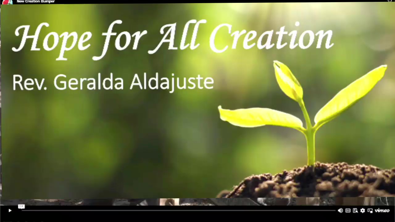 Hope for All Creation