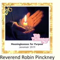 Meaninglessness for Purpose