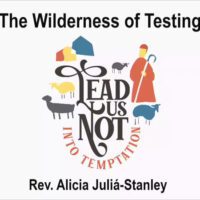 The Wilderness of Testing