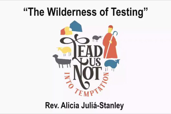 The Wilderness of Testing