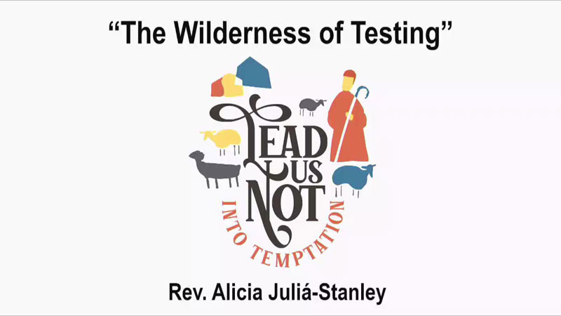 The Wilderness of Testing