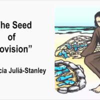 The Seed of Provision