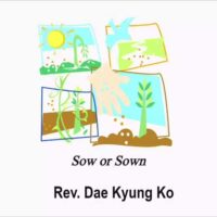 Sow or Sown