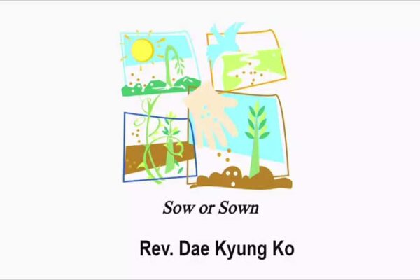 Sow or Sown
