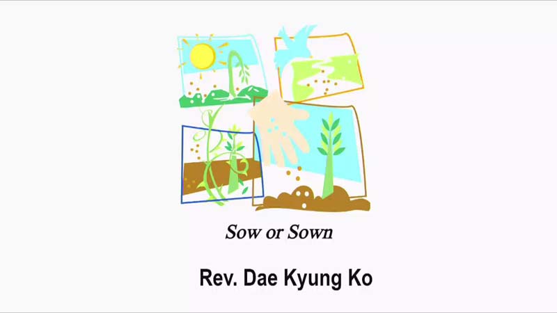 Sow or Sown