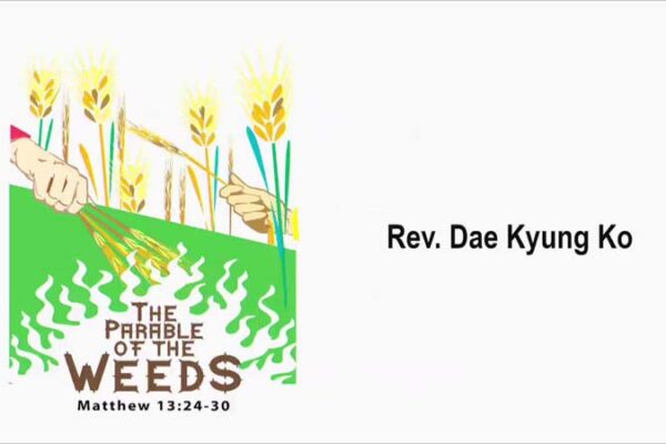 The Parable of the Weeds