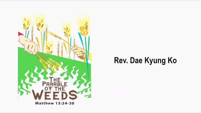 The Parable of the Weeds