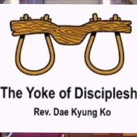 The Yoke of Discipleship